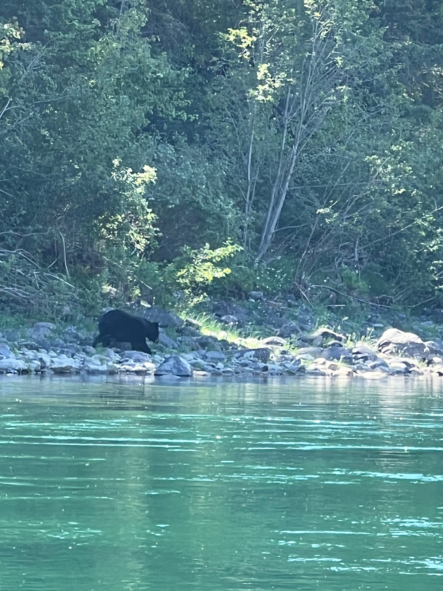 Flathead River Fly Fishing Trip.