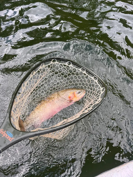 Flathead River Fly Fishing Trip.