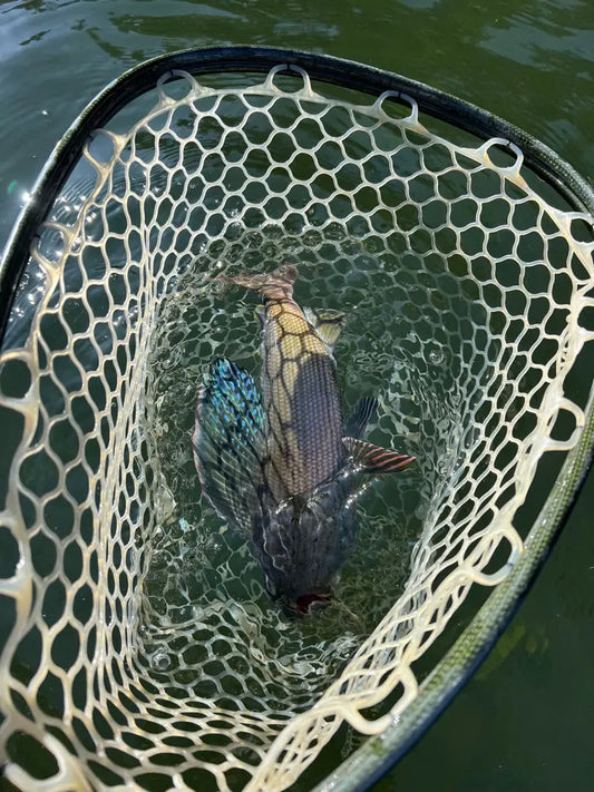Small Mountain Lake Fishing.