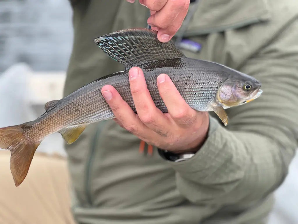Small Mountain Lake Fishing.