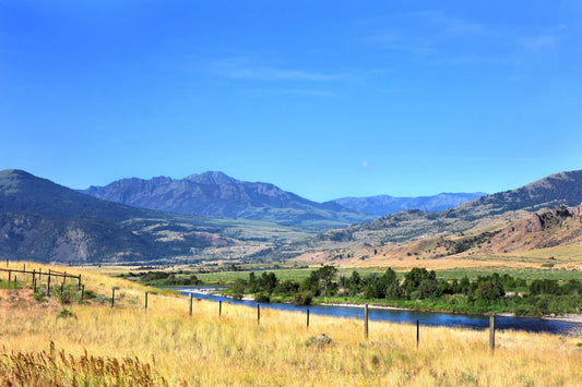 Yellowstone River Fly Fishing Trip.