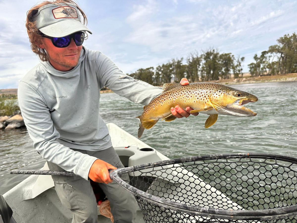 Streamer Fishing for Fall Brown Trout in Montana