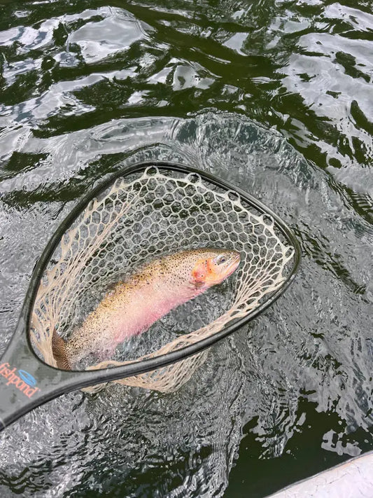 Beginner’s Guide to Fly Fishing in Montana