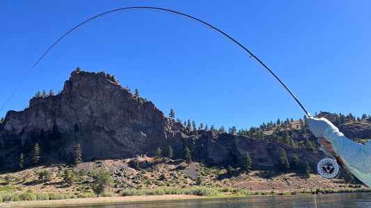 Best-Fly-Rods-for-Montana-Rivers-2025-Guide-Tested Riverstone Outfitters