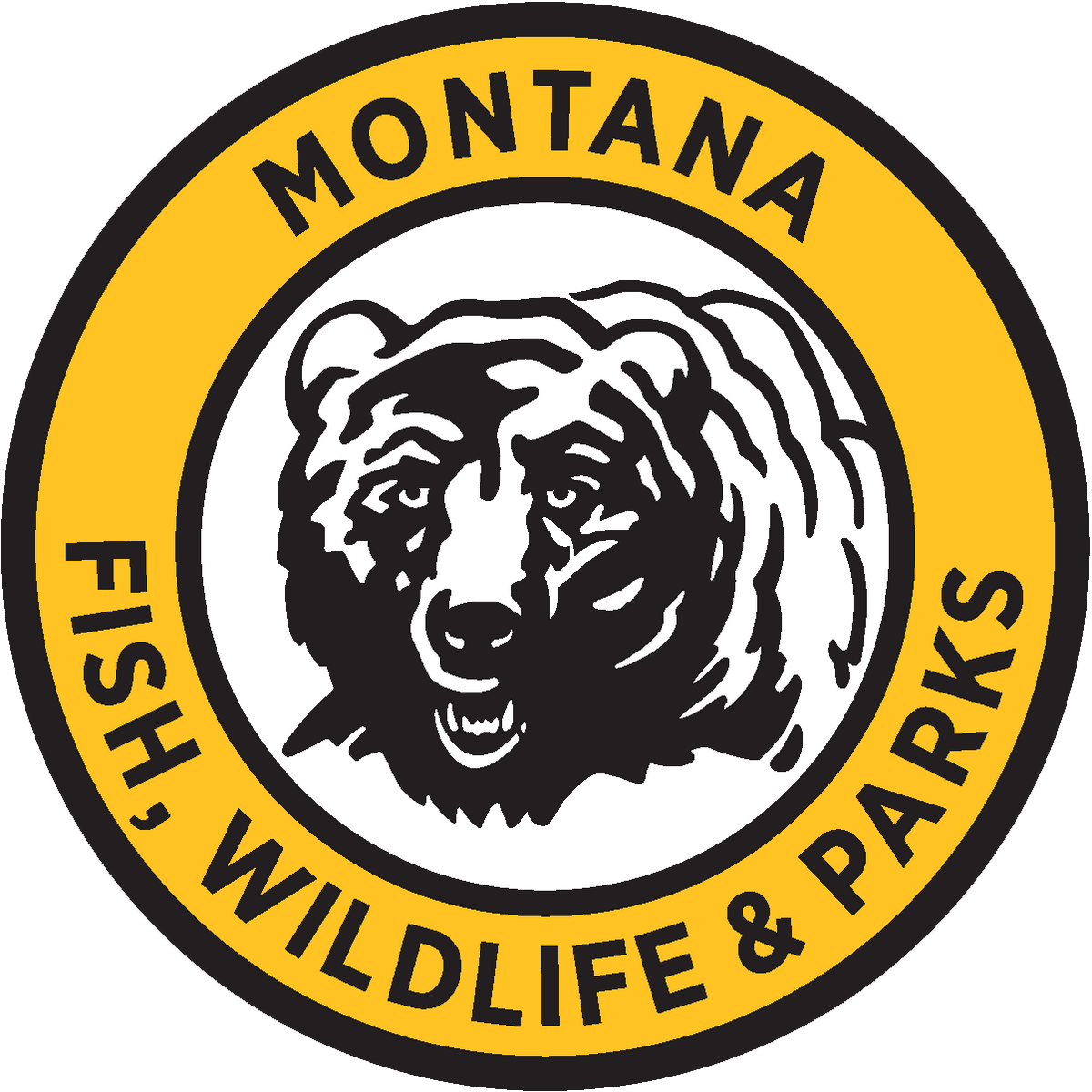 Montana Fishing License Requirements 2026: Costs, Types & How to Buy