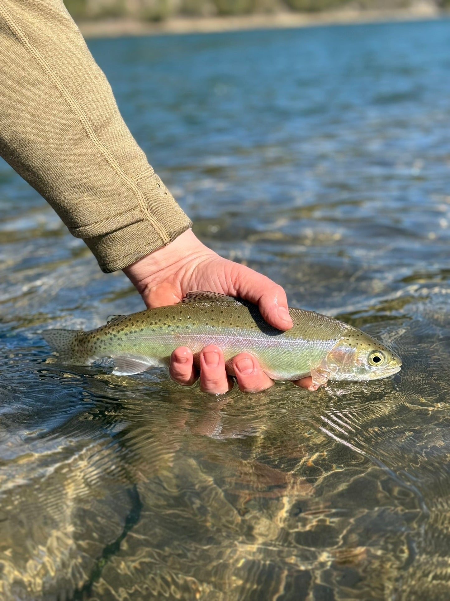 Flathead River Guided Fly Fishing Near Glacier: 2026