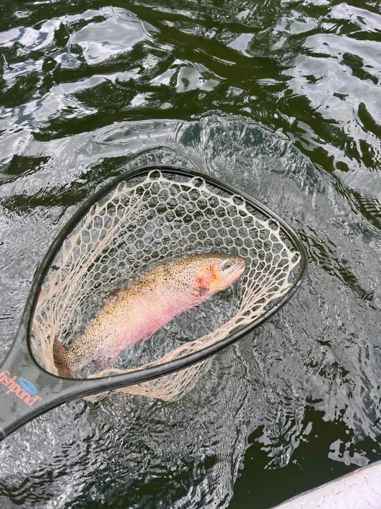 Beginner’s Guide to Fly Fishing in Montana - Riverstone Outfitters