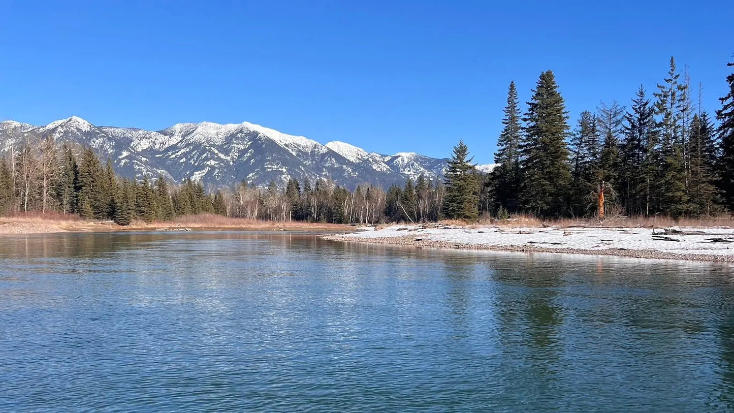 Field Notes: Spring River Report – Flathead & Missouri Rivers (April 2025) - Riverstone Outfitters