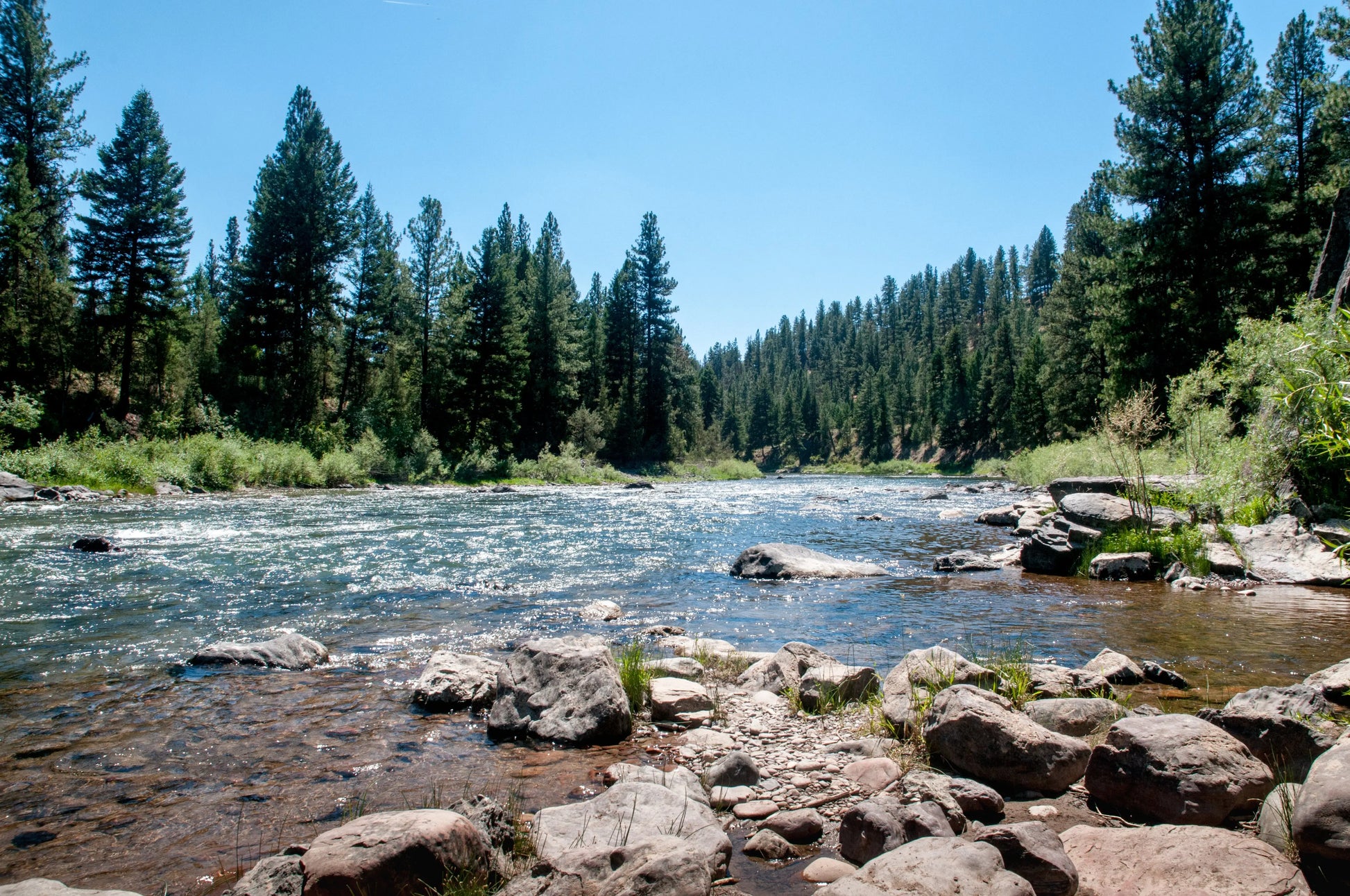 Blackfoot River Fly Fishing Trip.