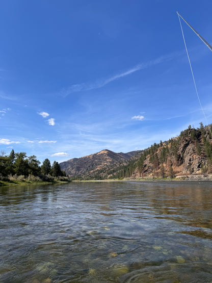 Clark Fork River Fly Fishing Trip.