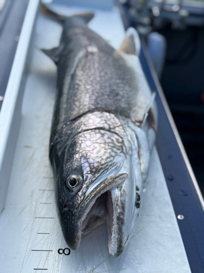 Flathead Lake Fishing Charter Riverstone Outfitters
