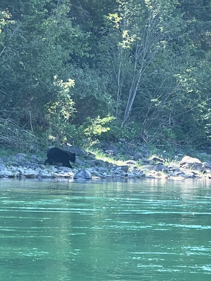 Flathead River Fly Fishing Trip.
