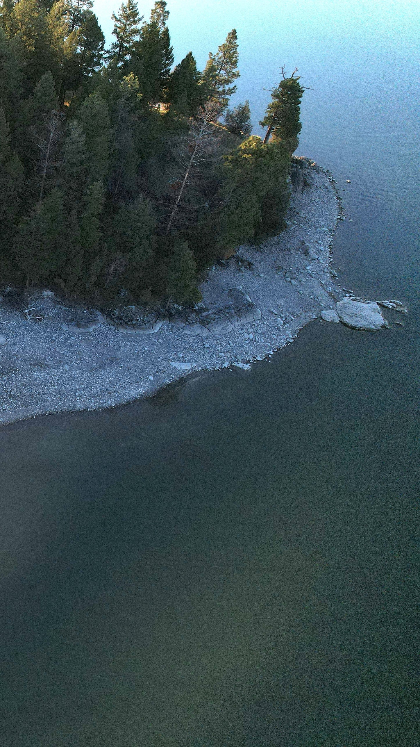 Aerial view of a snowy landscape with trees at sunset.