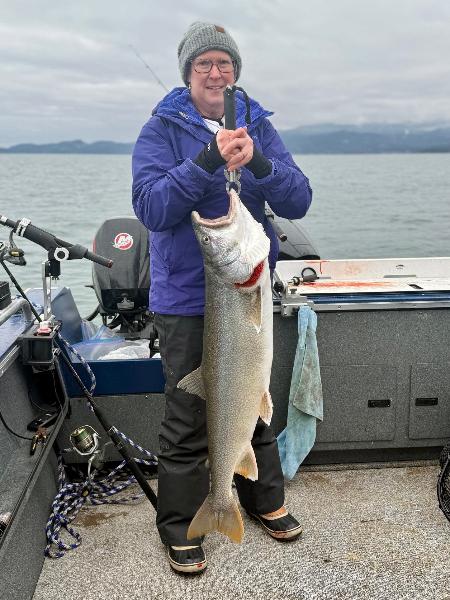 Huge lake trout on flathead lake in montana