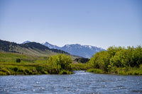 Madison River Fly Fishing Trip