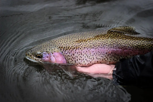 Riverstone Outfitters Gift Card