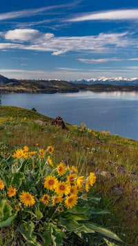 Flathead Lake Charter + Wild Horse Island Tour - Riverstone Outfitters