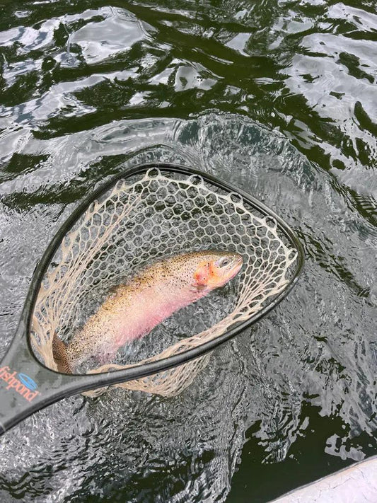 Flathead River Fly Fishing Trip - Riverstone Outfitters